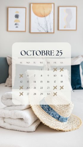 Light Nature Photo April 2023 Calendar Instagram Story(20)